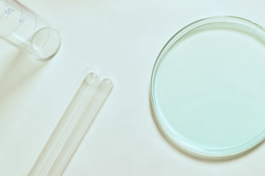 美容の最前線！「幹細胞培養液」と「植物幹細胞エキス」の違い・効果を徹底解説〜選び方もご紹介【2025年最新】